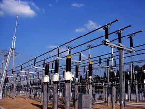 苏锦梁 香港发挥优势，潜力打造物联网先驱，智能电网在线监测仪成应用范例